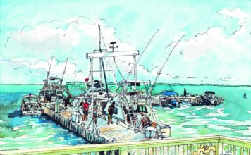 The essence of Cayman