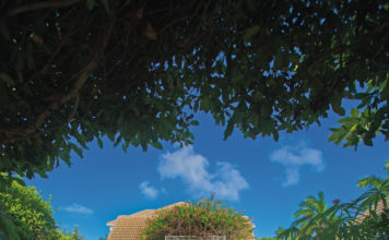 A Nature for Nurturing