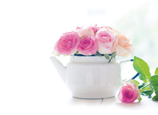 Blooming flower arranging