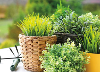 Herb Gardening for Beginners