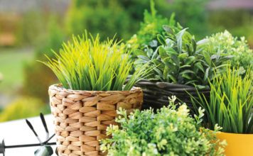 Herb Gardening for Beginners