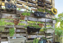 Growing Up Vertical Garden - Bodden Town, Grand Cayman