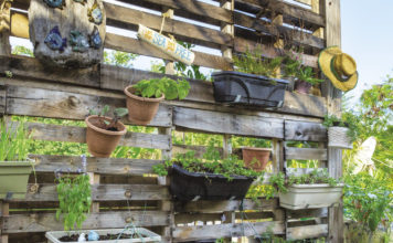 Growing Up Vertical Garden - Bodden Town, Grand Cayman