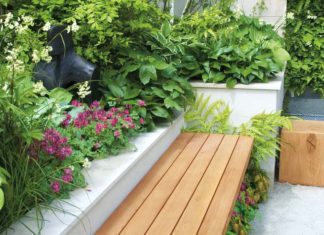 Greening small spaces