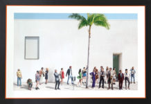 An eclectic collection