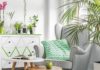 The Growing Trend of Indoor Plants