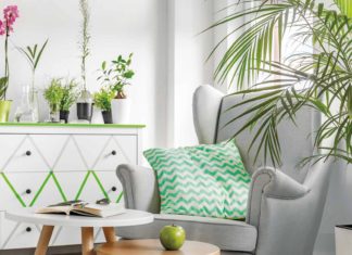 The Growing Trend of Indoor Plants