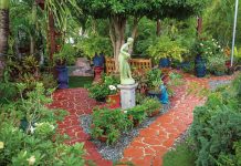 Path to Well-Being Joan Ebanks’s garden