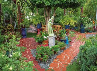 Path to Well-Being Joan Ebanks’s garden