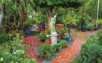 Path to Well-Being Joan Ebanks’s garden