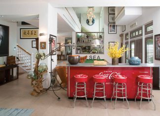 Collection of Curios