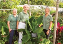 Blooming News – Garden Club Helps Beautify Jasmine