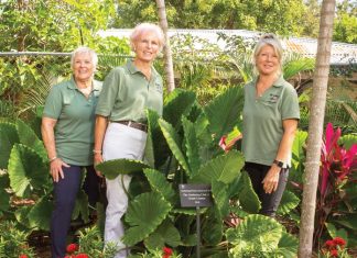 Blooming News – Garden Club Helps Beautify Jasmine