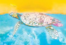 Magical Marine Life Turtle