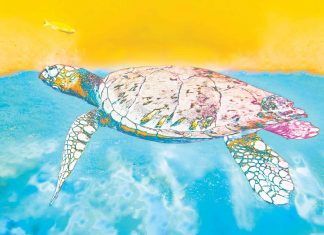Magical Marine Life Turtle