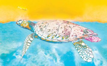 Magical Marine Life Turtle