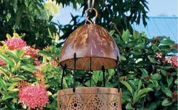 Wind chimes strike the right notes